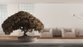 Vintage wooden table shelf with potted bloom bonsai, beige leaves, flowers, over minimal waiting sitting room with armchairs.