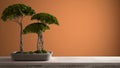 Vintage wooden table shelf with potted green bonsai, ceramic vase, orange colored background, mock-up with copy space, zen concept