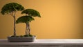Vintage wooden table shelf with potted green bonsai, ceramic vase, yellow colored background, mock-up with copy space, zen concept