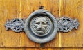 Vintage wooden texture with decorative lion head and snake ring door knocker Royalty Free Stock Photo