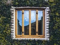 A vintage wooden window is beautifully framed by lush ivy, set against an old stone wall, reflecting the clear blue sky Royalty Free Stock Photo