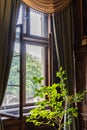 Vintage wooden window in castle. Ancient window in wooden interior