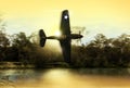 Vintage World War 2 US fighter plane Royalty Free Stock Photo