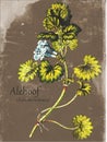 Vintage Worn Plant Tile Alehoof