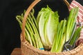 Vintage woven reed basket of organic green vegetables