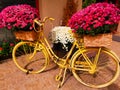 Vintage bicycle with flowers in baskets