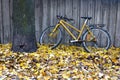 Vintage yellow bike in autumn Royalty Free Stock Photo