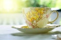 Vintage Yellow Bone China Tea Cup And Saucer Set On Clothed Table On A Bright Sunny Day In The Garden