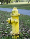 Vintage yellow fire hydrant on grass near road Royalty Free Stock Photo