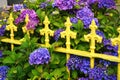 Vintage yellow iron fence with colorful purple flowers