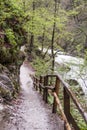 Vintagr gorge - Slovenia