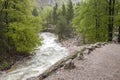 Vintagr gorge - Slovenia