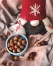 Vinter gnome and nuts