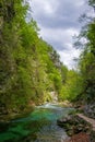 Vintgar gorge, beauty of nature, with river Radovna flowing through it, Triglav National park, Slovenia