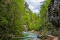 Vintgar gorge, beauty of nature, with river Radovna flowing through it, Triglav National park, Slovenia