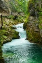 Vintgar Gorge - famous walk in Slovenia, Julian Alps