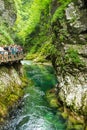 Vintgar Gorge - famous walk in Slovenia, Julian Alps