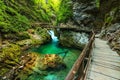 Vintgar gorge and green river,Bled,Triglav- Slovenia Royalty Free Stock Photo