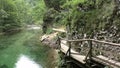 Vintgar gorge,radovna river,slovenie 150734