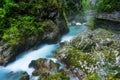 Vintgar gorge and Radovna river with walking path and rocks near Bled in Slovenia