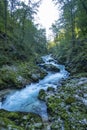 Vintgar Gorge, Slovenia. or Bled Gorge