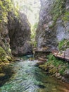 Vintgar Gorge in Slovenia Royalty Free Stock Photo