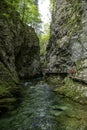 the vintgar gorge in Solvenia, a nature park with waterfalls and green plants