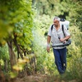 Vintner in his vineyard spraying chemicals