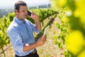 vintner using digital tablet while talking on mobile phone Royalty Free Stock Photo