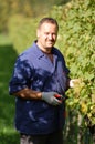 Vintner in the vineyard