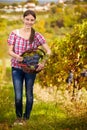 Vintner in vineyard