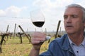 Vintner vineyard in front of glass of wine