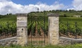 Vineyard Domaine Bouchard Pere Fils with Wall