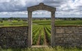 Vineyard Domaine Clos de la Pucelle Chartron