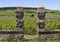 Vineyard Domaine Clos des Epenots Burgundy