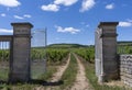 Vineyard Domaine Clos des Epenots