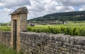 Vineyard Domaine Leflaive wit Wall