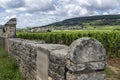 Vinyard and Wall Domaine Jacques Prieur with Village
