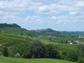 Vinyards of Barbaresco Royalty Free Stock Photo