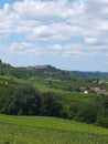 Vinyards of Barbaresco Royalty Free Stock Photo