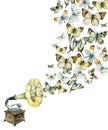 Vinyl gramophone and butterflies illustration Royalty Free Stock Photo