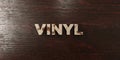 Vinyl - grungy wooden headline on Maple - 3D rendered royalty free stock image