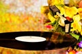 Vinyl record on a retro disco background bokeh lights and flowers. The vinyl gramophone record retro disco. Music and singing