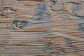 Vinyl wall panel with realistic wood texture. Wooden background