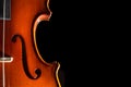 Viola black background Royalty Free Stock Photo