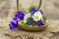 Viola odorata and daisies - spring flowers bouquet
