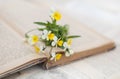 Viola on the opened book Royalty Free Stock Photo