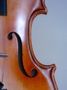 Viola scroll detail Royalty Free Stock Photo