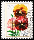 Viola tricolor, Flowers serie, circa 1975