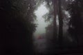 Violent storm with heavy rainfall seen through the windshield of car Royalty Free Stock Photo